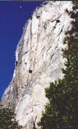 09 El Cap left face.JPG (99424 bytes)