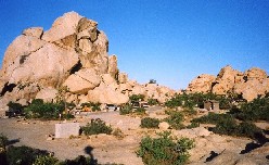 50 Joshua Tree Camp.jpg (91125 bytes)