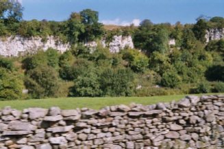 7 Eddies wall.jpg (77399 bytes)