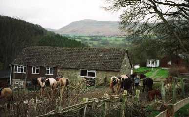 Tregoyd Farm, with Lord Herefords Knob in distance 2.jpg (95804 bytes)